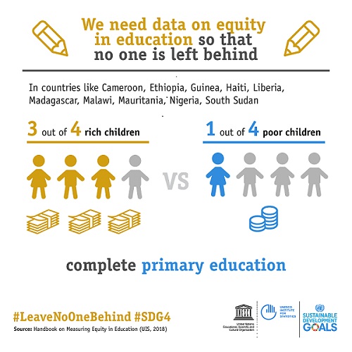 Equity and Learning in Primary Education